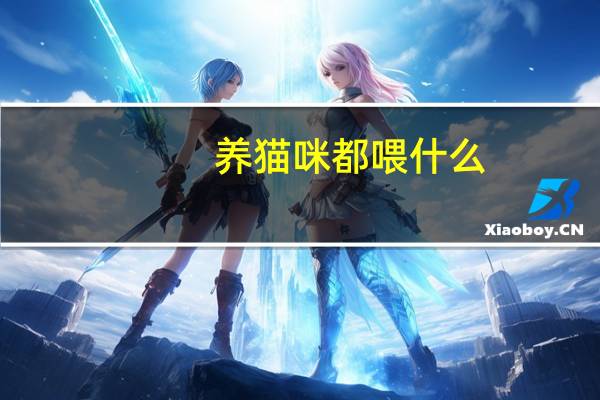 养猫咪都喂什么