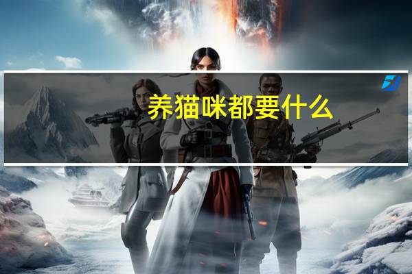 养猫咪都要什么