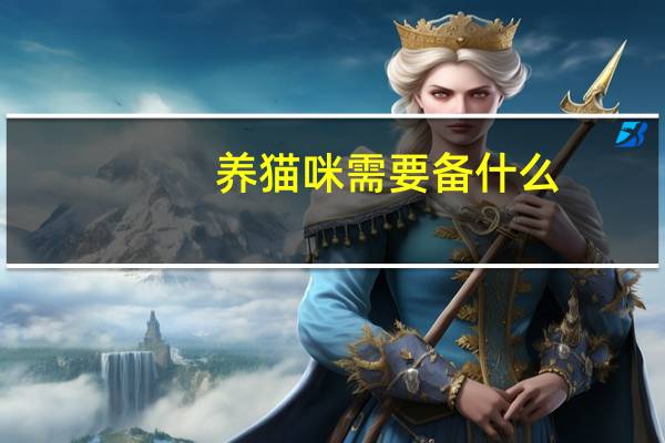 养猫咪需要备什么