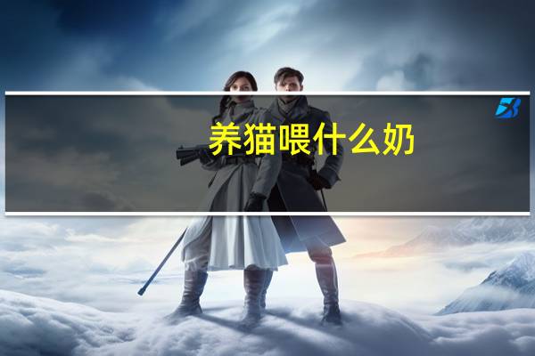 养猫喂什么奶