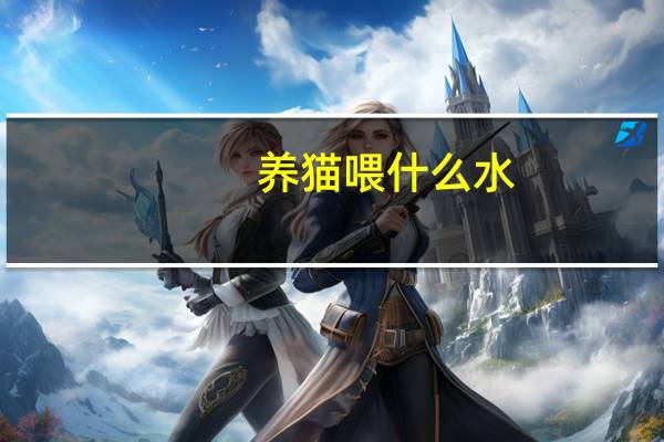 养猫喂什么水