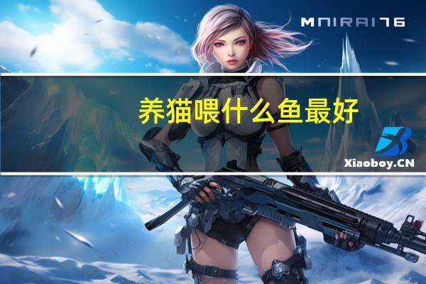 养猫喂什么鱼最好