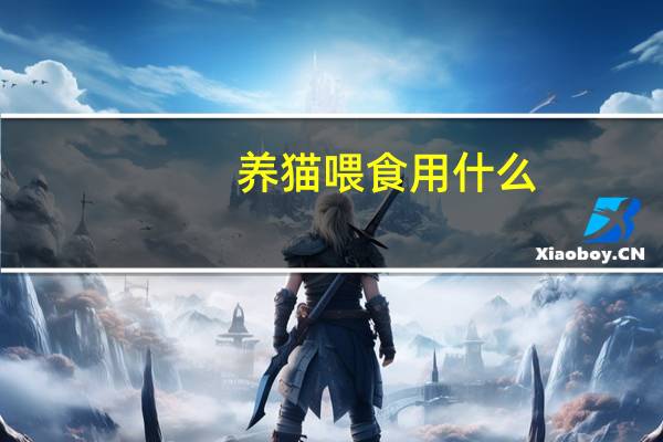养猫喂食用什么