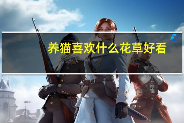 养猫喜欢什么花草好看