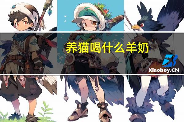 养猫喝什么羊奶