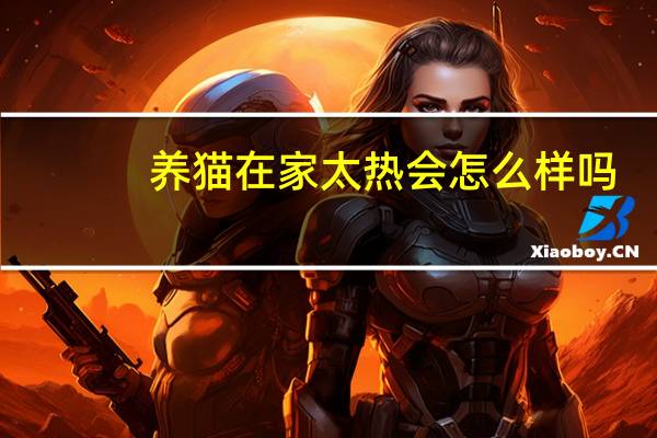 养猫在家太热会怎么样吗