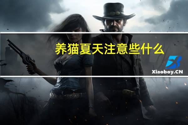 养猫夏天注意些什么