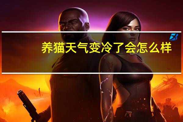 养猫天气变冷了会怎么样