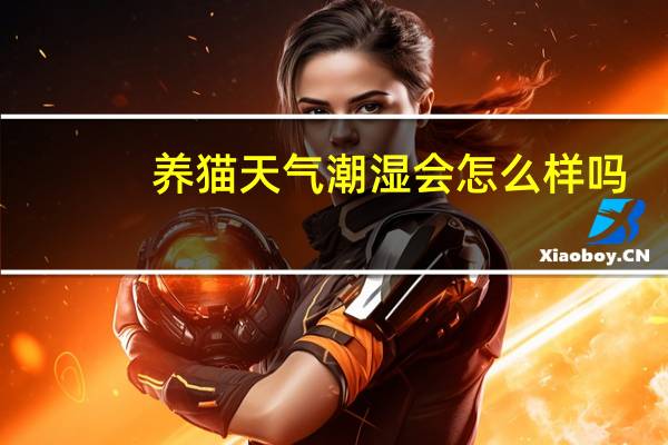 养猫天气潮湿会怎么样吗