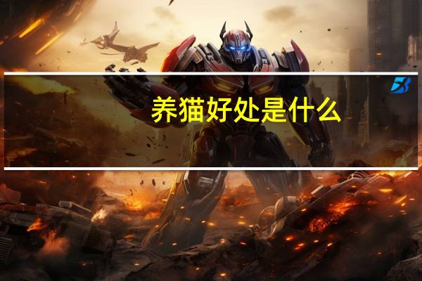 养猫好处是什么