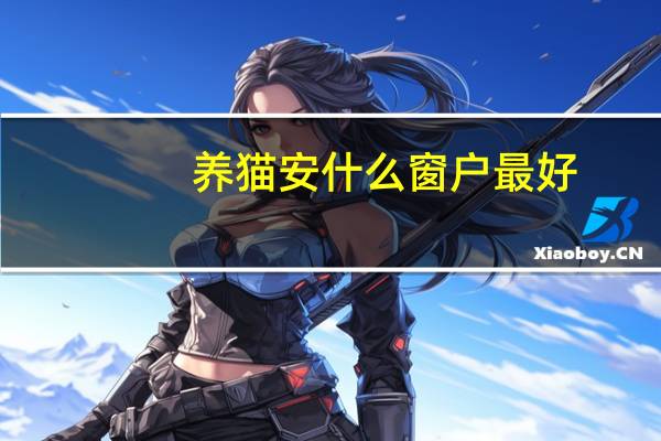 养猫安什么窗户最好