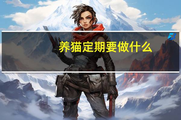 养猫定期要做什么