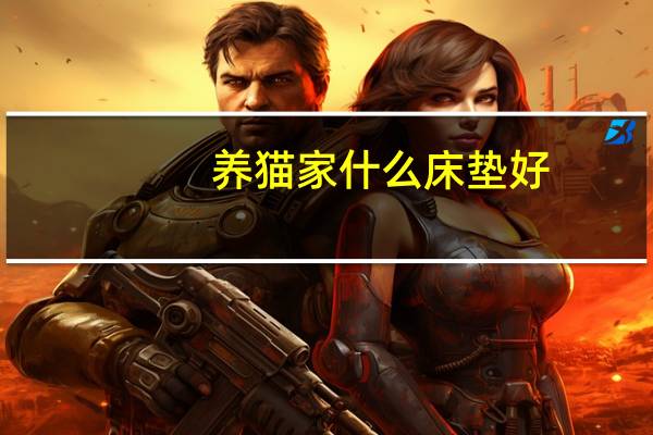 养猫家什么床垫好