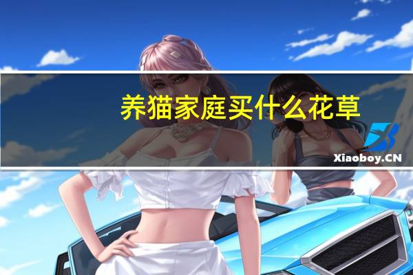 养猫家庭买什么花草