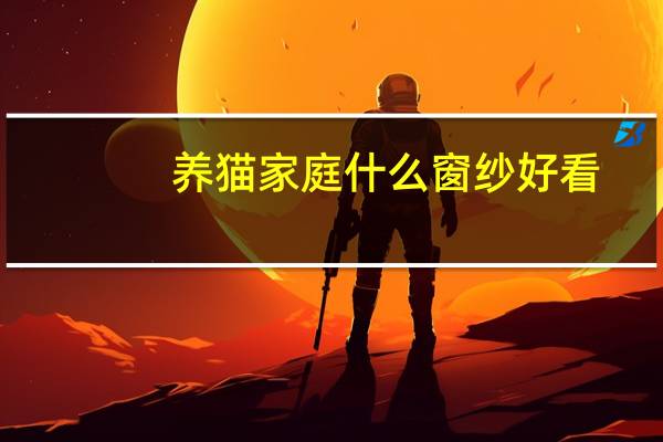 养猫家庭什么窗纱好看