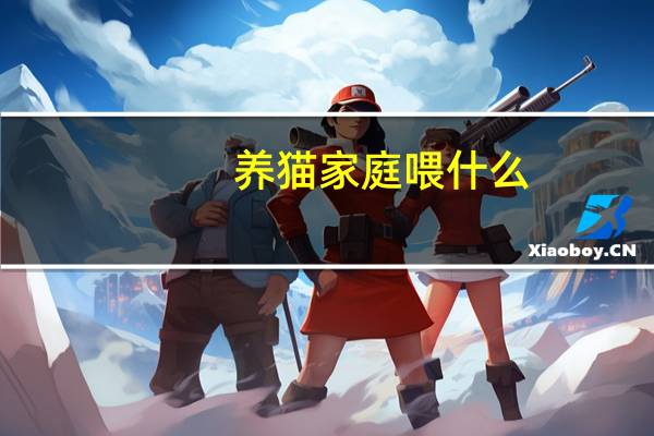 养猫家庭喂什么