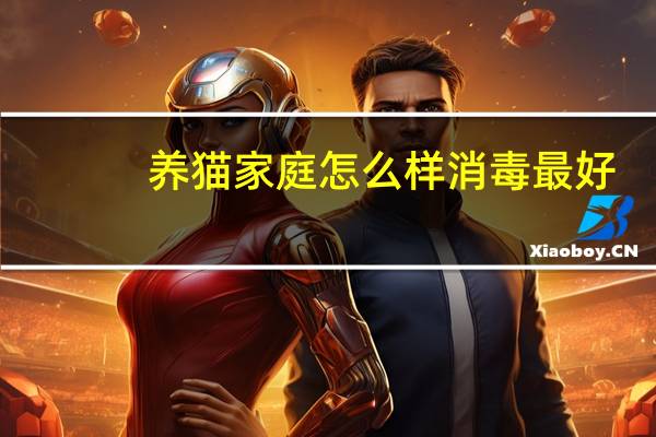 养猫家庭怎么样消毒最好