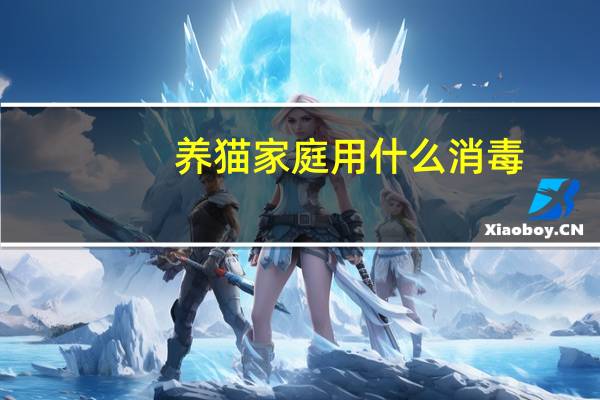 养猫家庭用什么消毒