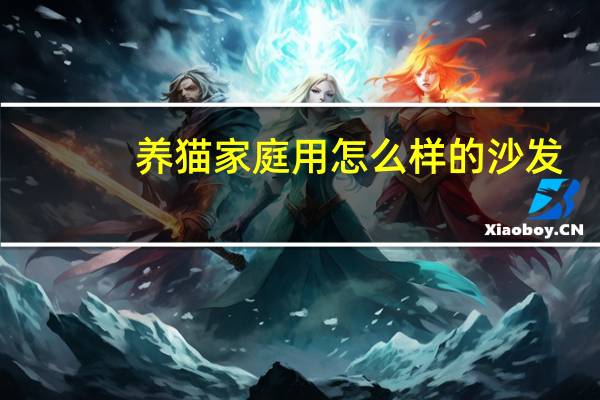 养猫家庭用怎么样的沙发