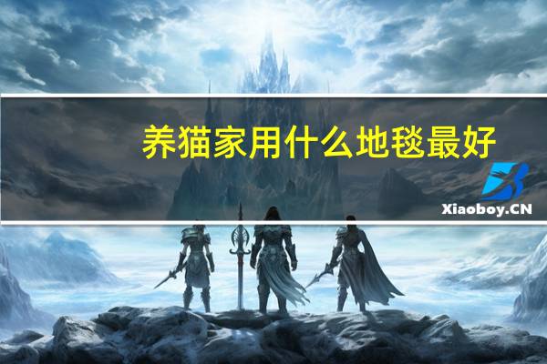 养猫家用什么地毯最好