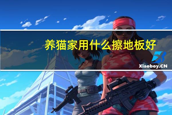 养猫家用什么擦地板好