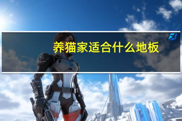 养猫家适合什么地板