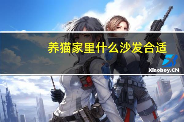 养猫家里什么沙发合适