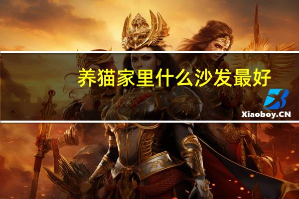 养猫家里什么沙发最好