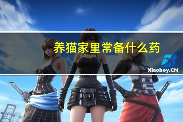 养猫家里常备什么药