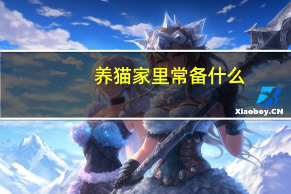 养猫家里常备什么