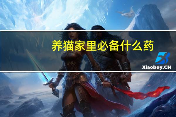 养猫家里必备什么药