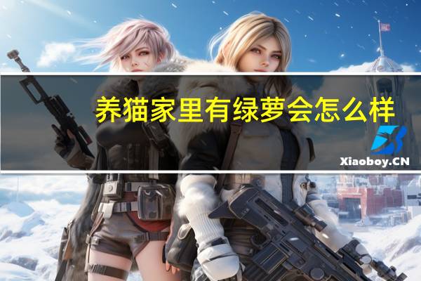 养猫家里有绿萝会怎么样