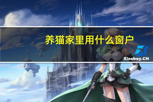 养猫家里用什么窗户
