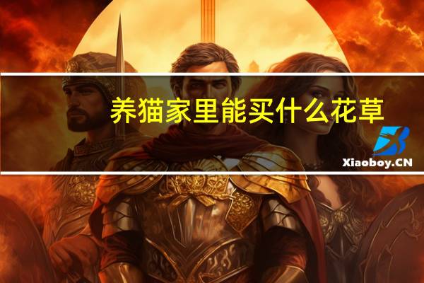 养猫家里能买什么花草