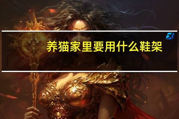 养猫家里要用什么鞋架
