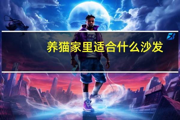 养猫家里适合什么沙发