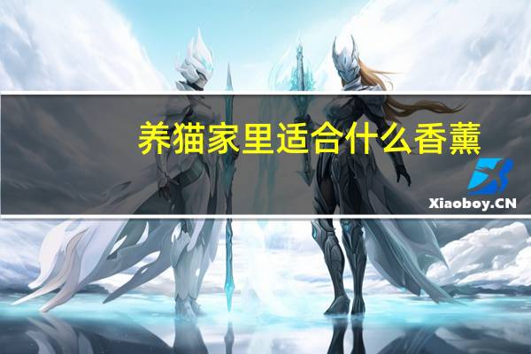 养猫家里适合什么香薰