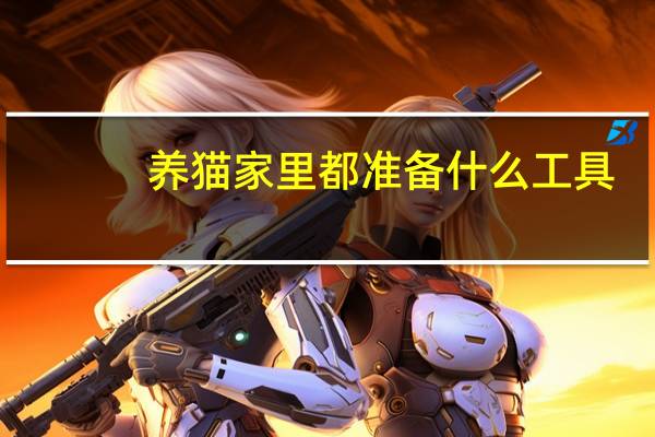 养猫家里都准备什么工具