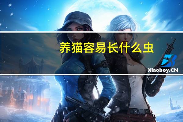 养猫容易长什么虫