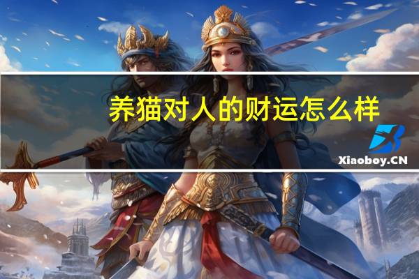 养猫对人的财运怎么样