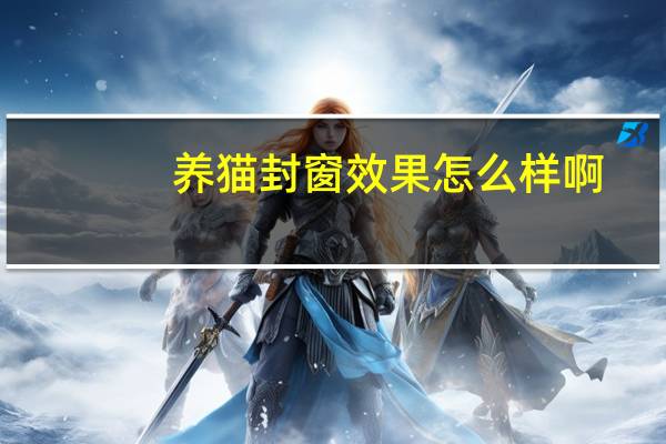 养猫封窗效果怎么样啊