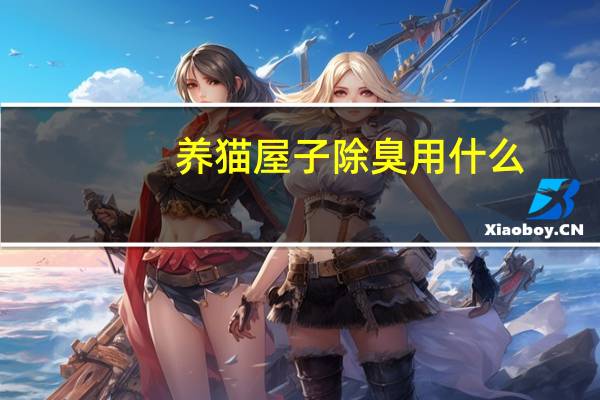 养猫屋子除臭用什么