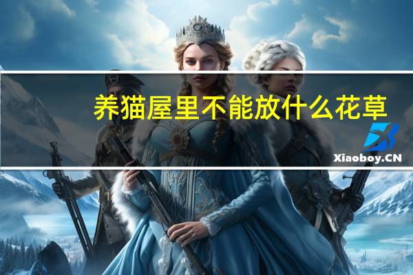 养猫屋里不能放什么花草