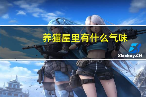 养猫屋里有什么气味