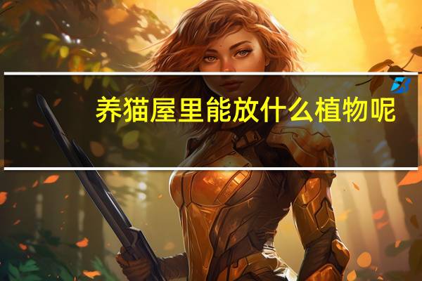 养猫屋里能放什么植物呢