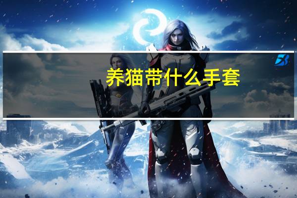 养猫带什么手套