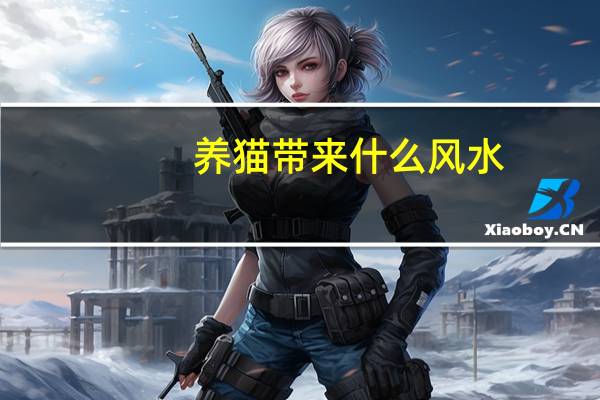 养猫带来什么风水