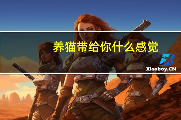 养猫带给你什么感觉