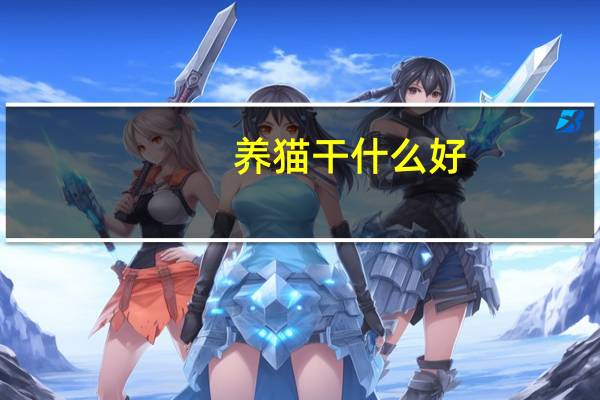 养猫干什么好