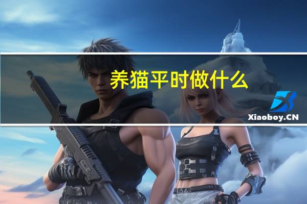 养猫平时做什么